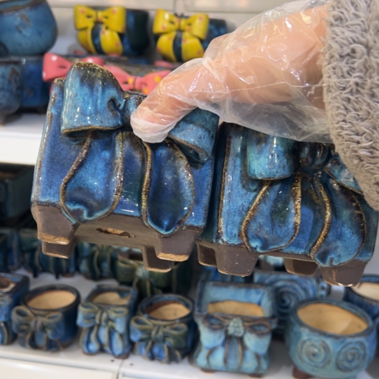 【闪购商品】忘*草