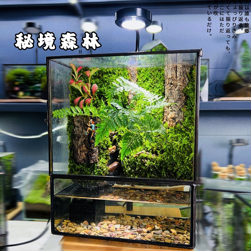 溪流雨林缸鱼缸【秘境森林】流水循环养小鱼螃蟹展示苔藓微景观设计