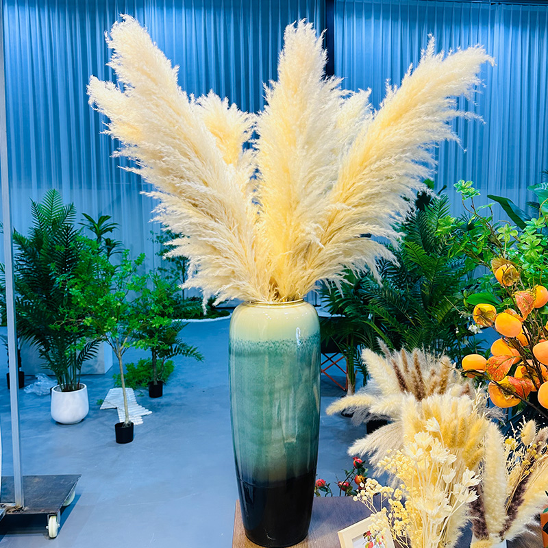 芦苇蒲苇干花真花天然花束客厅摆饰婚庆布置diy材料落地拍摄道具