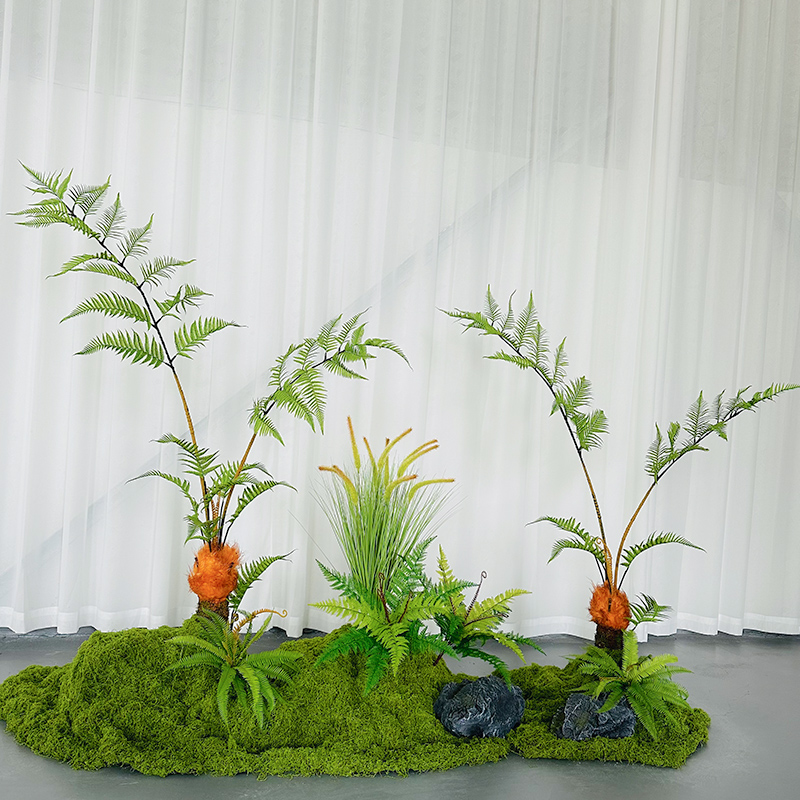 金丝猴头蕨绿植装饰
