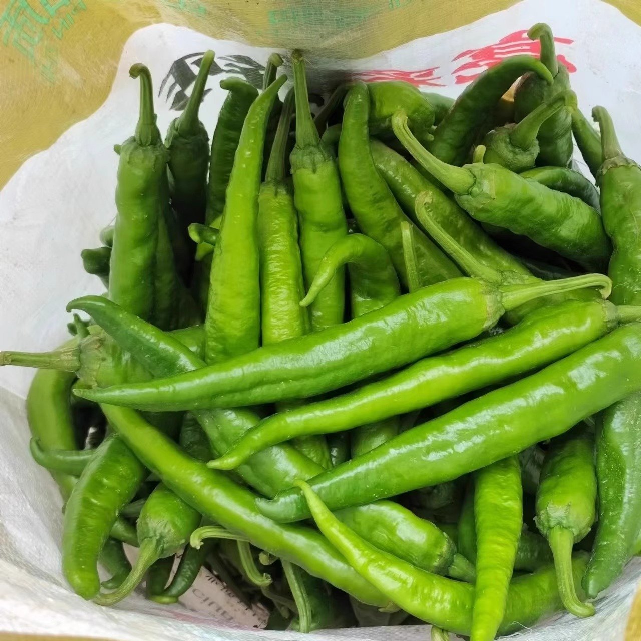 安徽农家新鲜蔬菜软皮湘研55号杭椒牛角椒微辣虎皮青辣椒尖椒辣椒