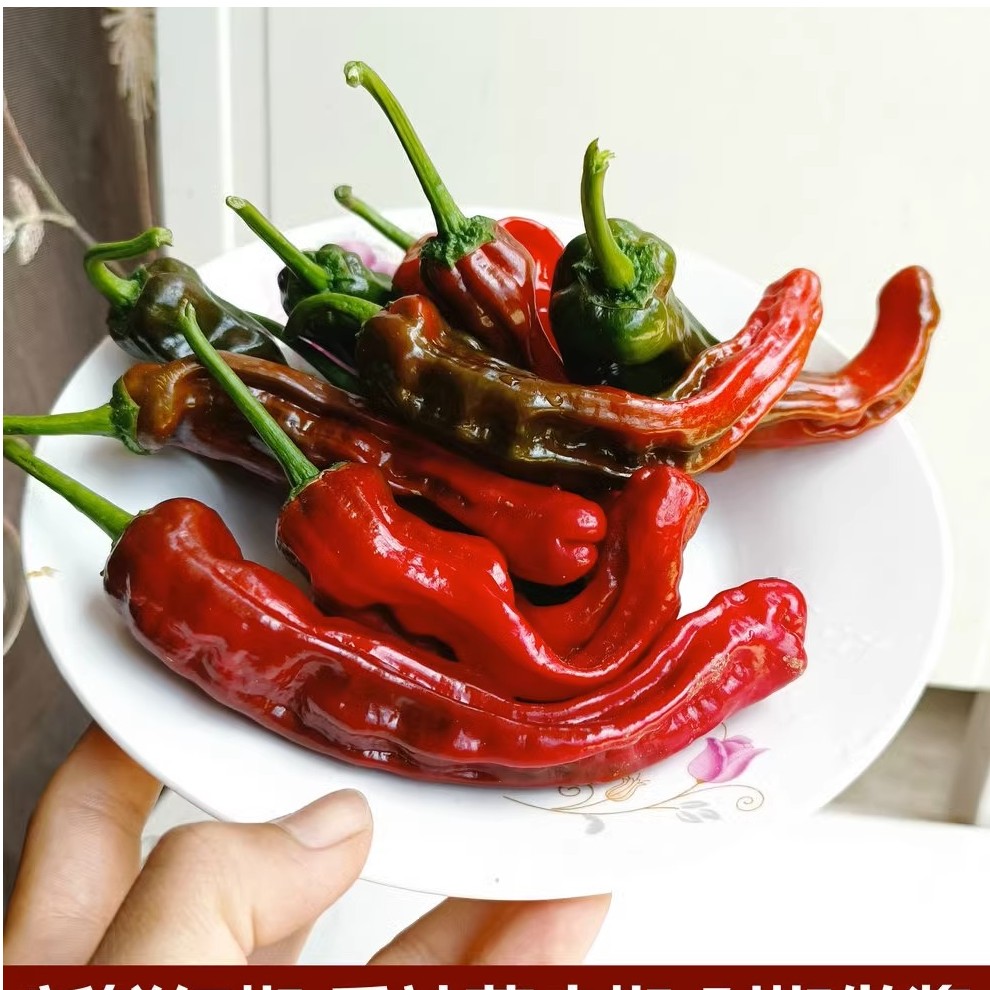 红辣椒新鲜薄皮椒皱皮螺丝超辣特辣土辣椒辣酱剁椒现摘现发3斤5斤