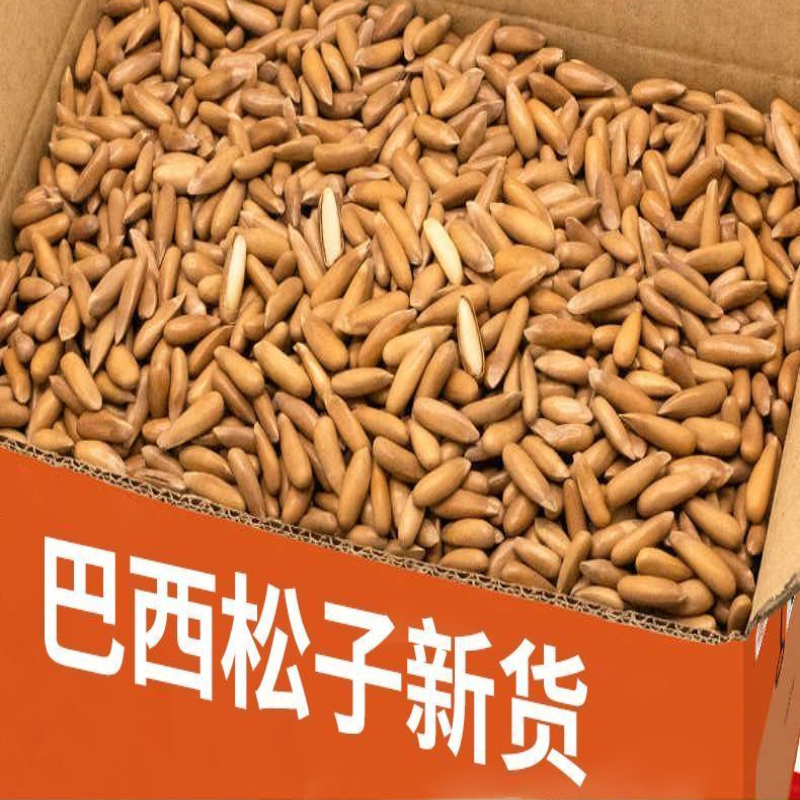 巴西松子大颗粒罐装手剥松子坚果炒货阿富汗松子2g新鲜烘焙罐装