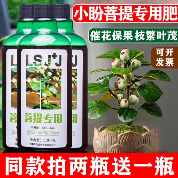 菩提树专用肥思维树肥料营养液颗粒肥有机肥老桩造景盆景四季缓释