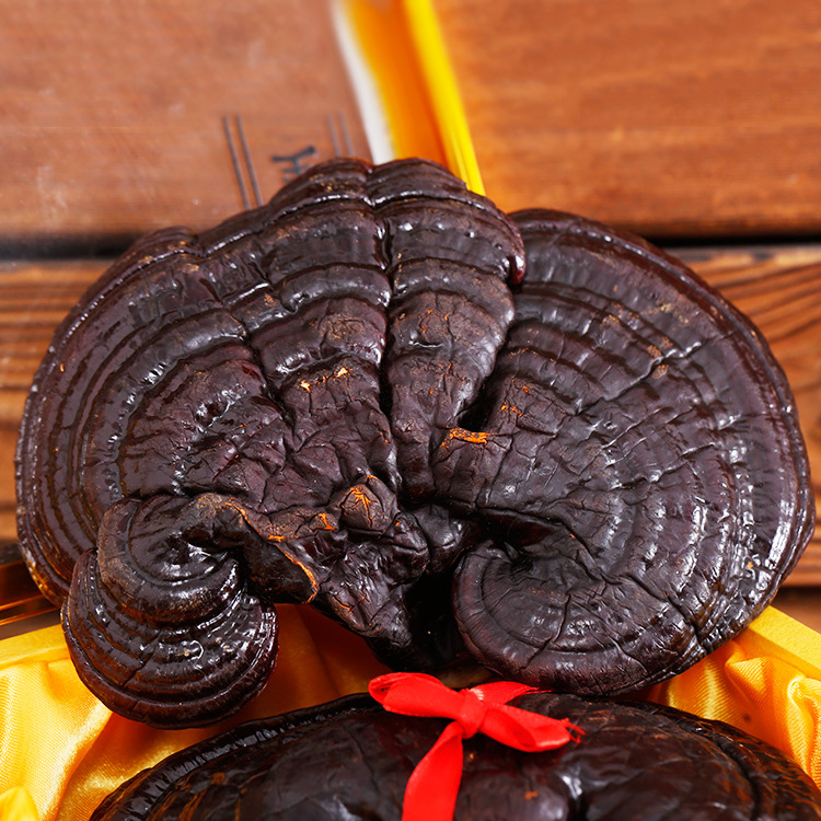 【直播间补贴粉丝】云南灵芝3-5朵 1克5块1 120克起拍正品假1赔8