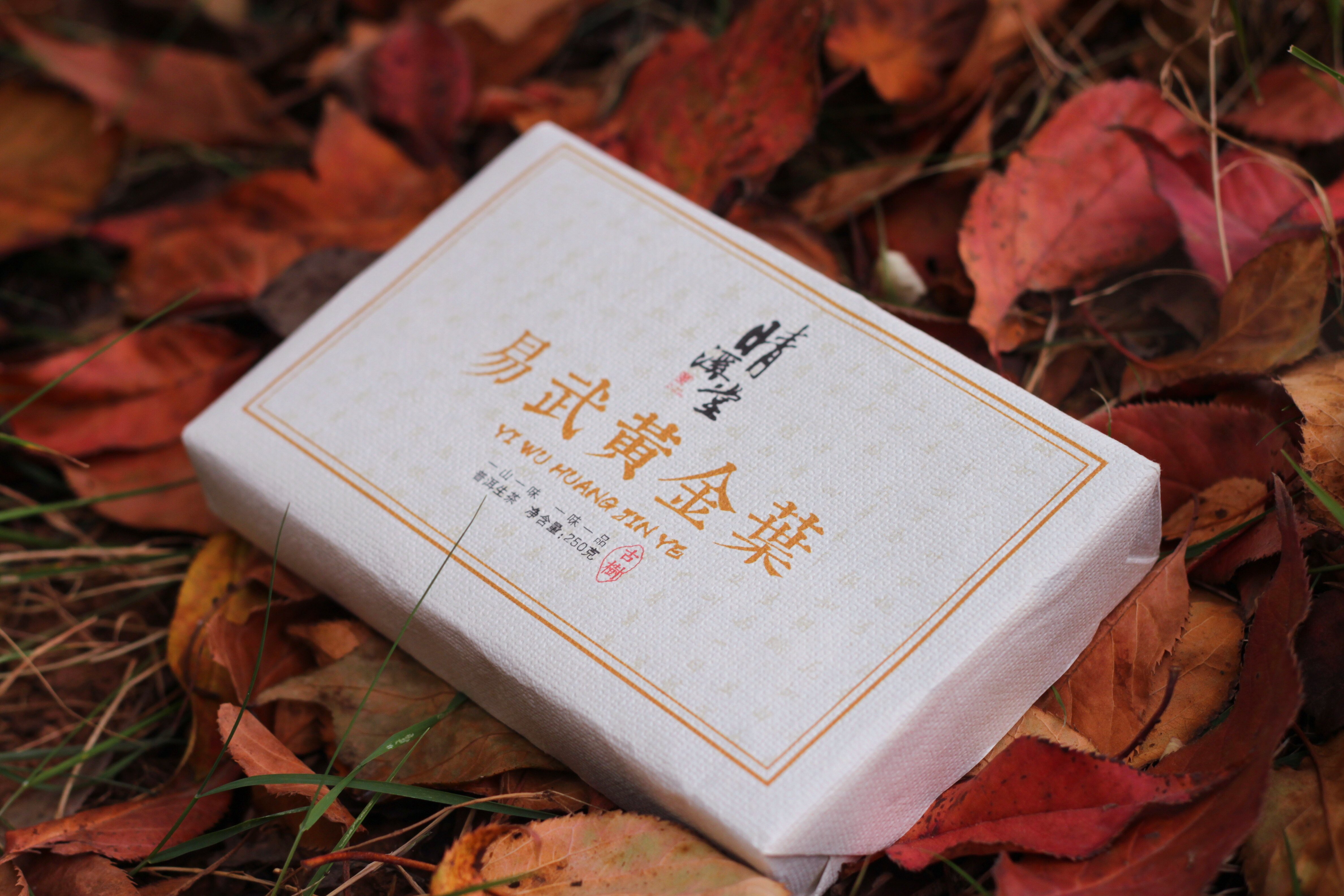 【黄金叶】2021年易武黄金叶古树生普砖茶250g（可试喝）