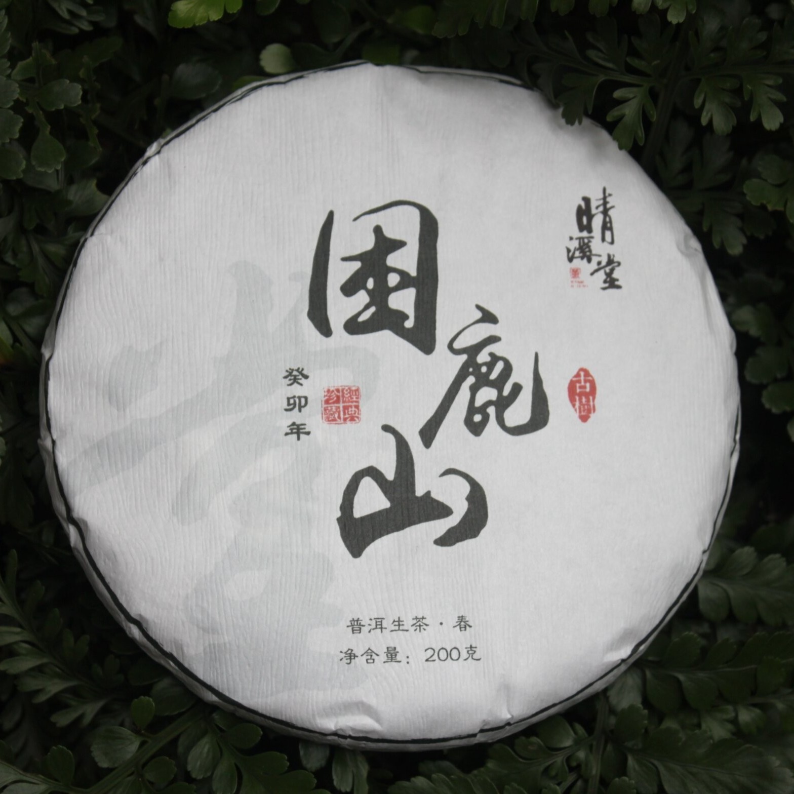 【普洱区】困鹿山 古树春头采普洱生普.高雅花香甘甜顺滑细腻