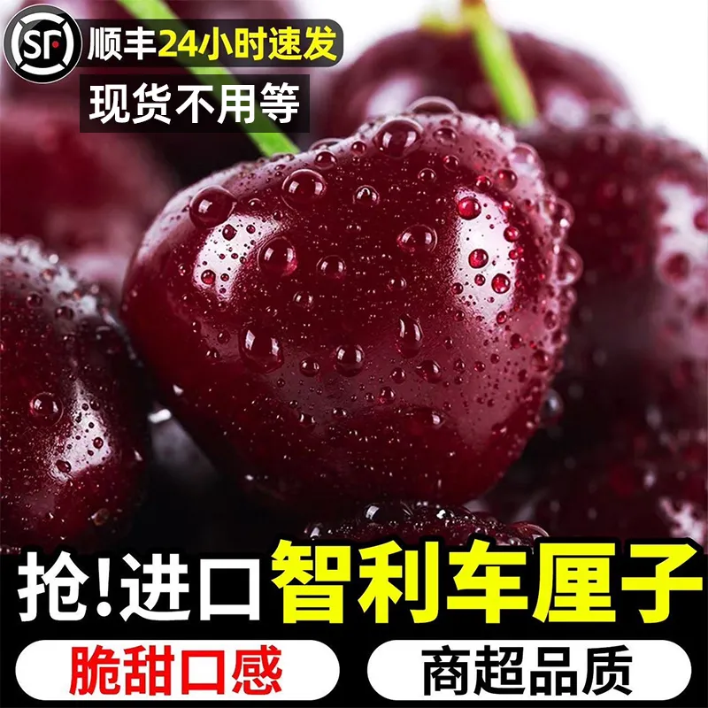 车厘子5斤顺丰包邮智利进口黑珍珠桑提娜多汁礼盒装孕妇水果樱桃