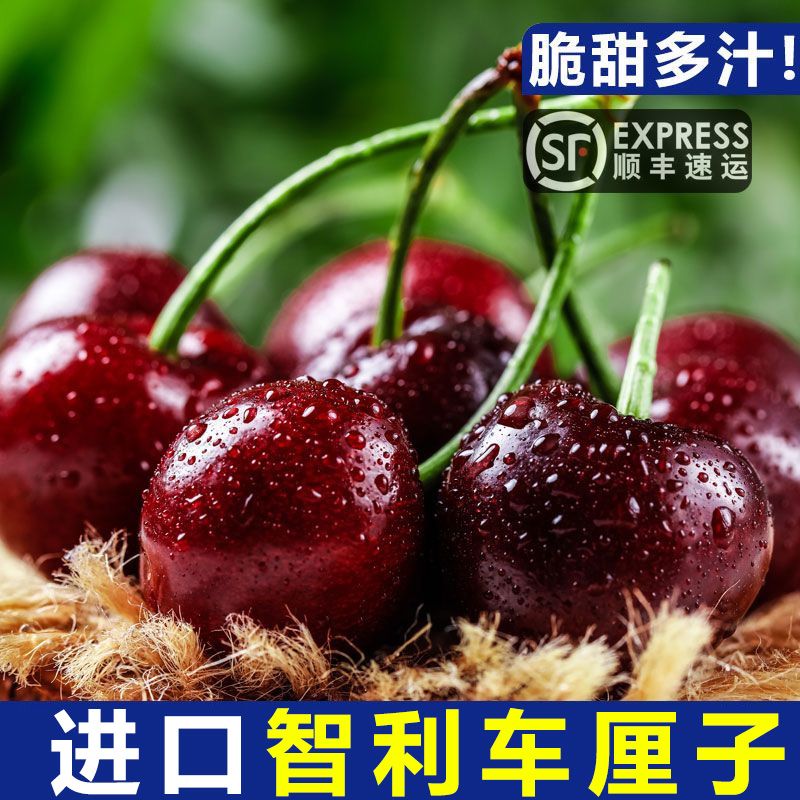 4J级智利车厘子礼盒装新鲜水果桑提娜进口大樱桃孕妇水果空运送礼