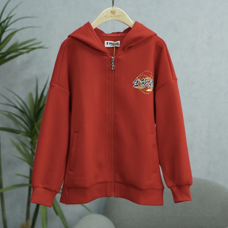 一路童行  A665  大系列 童装 秋装时尚连帽套外套  661163878