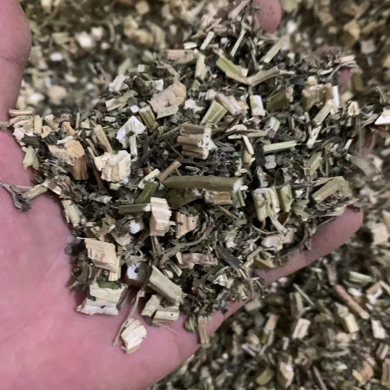 云南特产益母草 500g