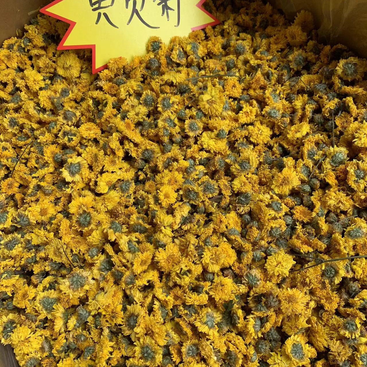 黄贡菊250克500克