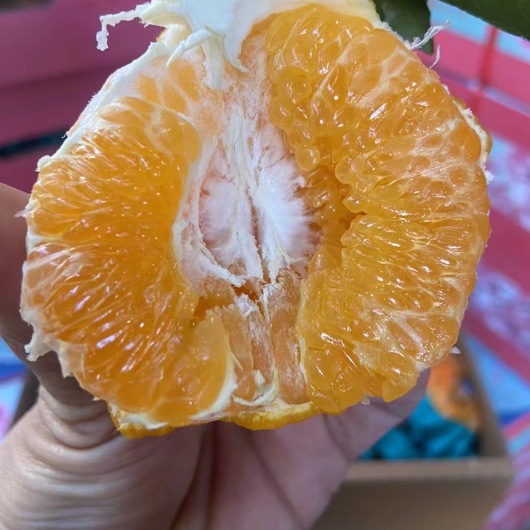 春见礼盒