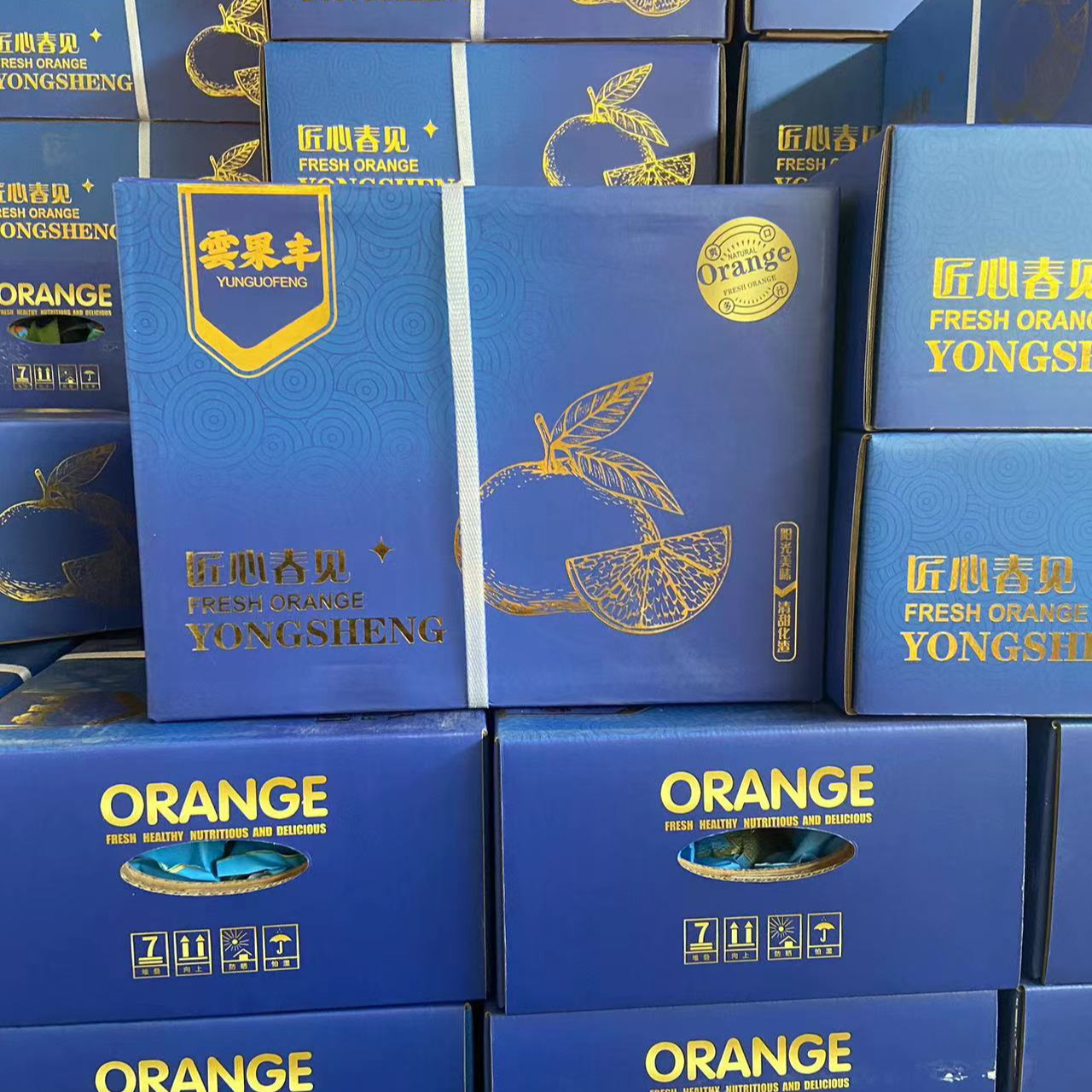春见（匠心级）8.8斤装