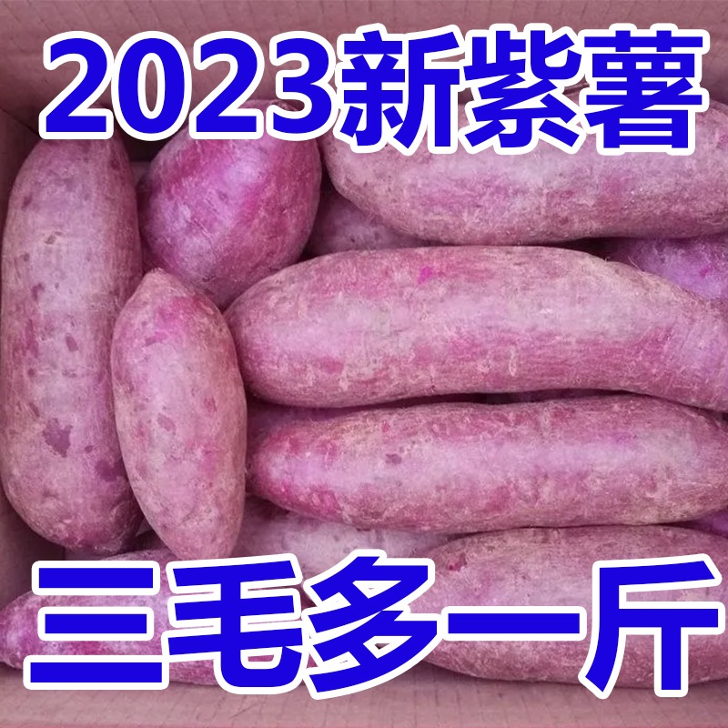 【限量抢一箱】新鲜紫薯紫罗兰红薯1/5斤番薯甜地瓜紫蜜薯蔬菜水果