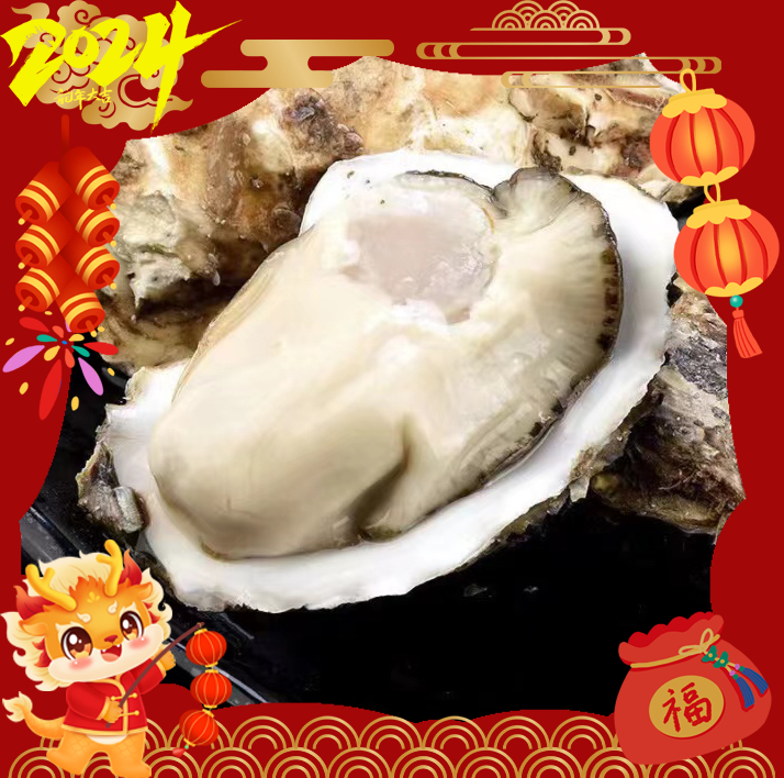 康哥推荐日照 三倍体生蚝5斤 现场称重 顺丰发货