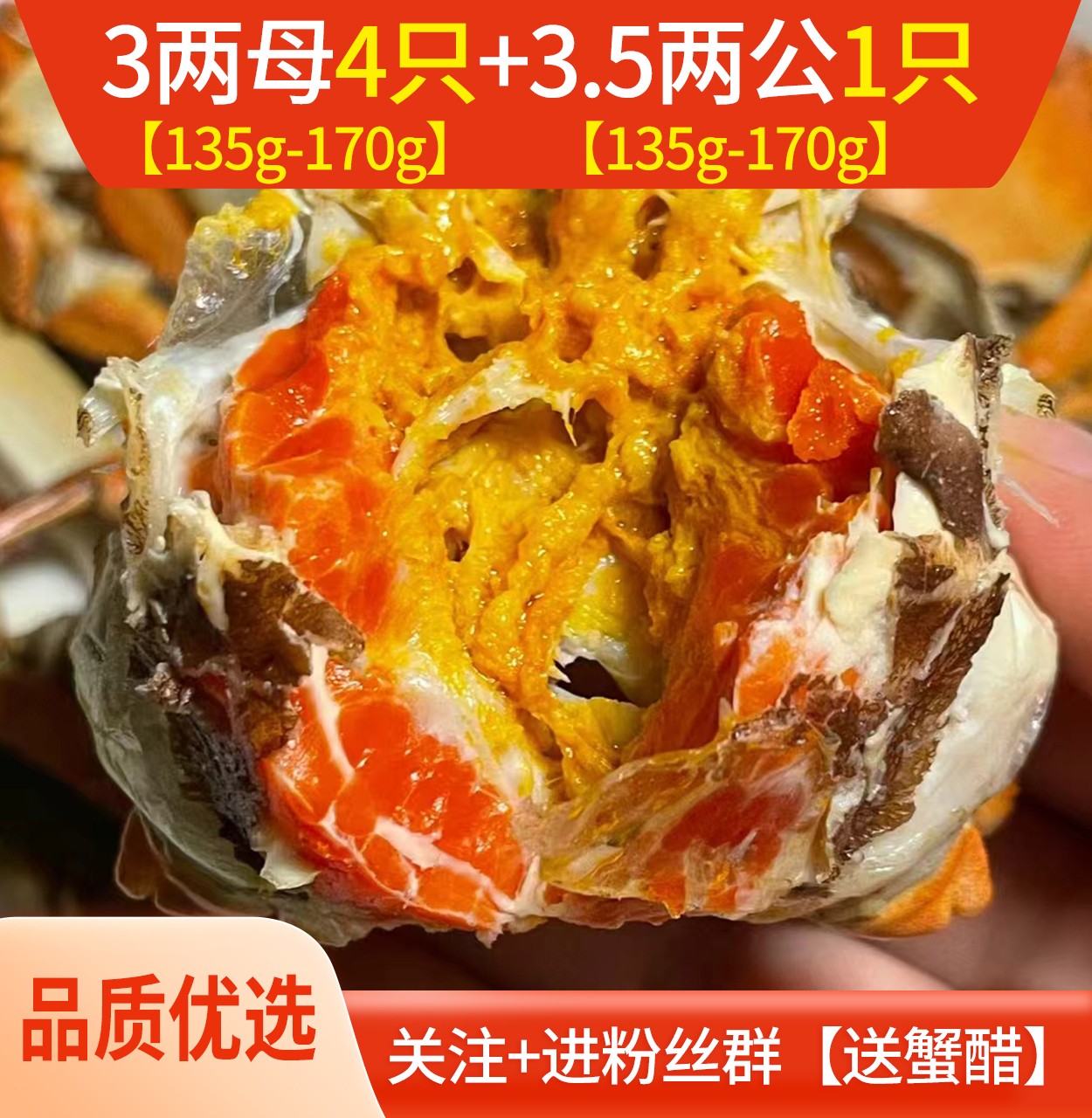 【品质优选】4只3两母+1只3.5两公【打架断腿蟹】3两母(135g-170g带绳重）3.5两公(155g-190g带绳重）