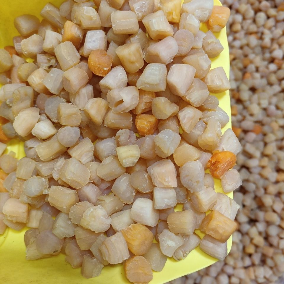 北海瑶柱干贝特级海鲜干货宝宝辅食野生淡干干贝丁扇贝肉柱干元贝