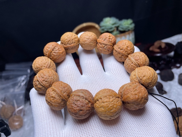 小金豆手串23mm-云南铁核桃