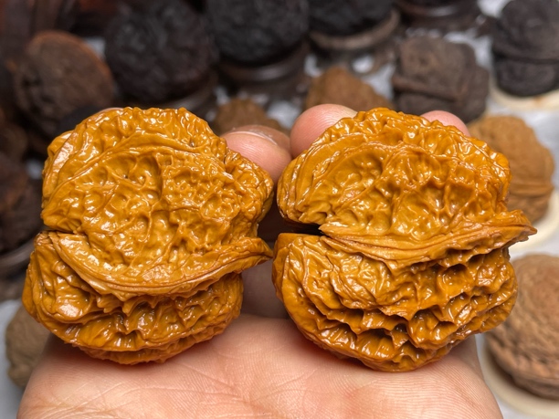 古树纹半壁47mm-云南铁核桃