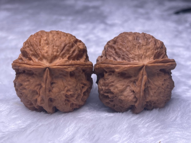 云南铁核桃-磨盘三棱43mm