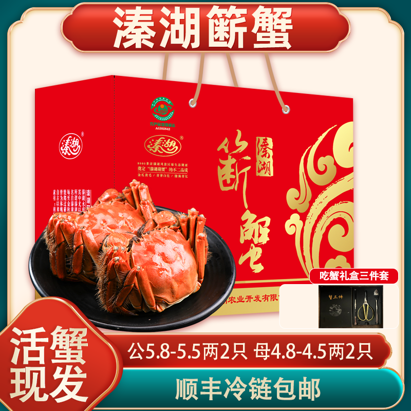 [活蟹]江苏溱湖簖蟹 公5.8-5.5两 母4.8-4.5两 4只顺丰包邮湖蟹Q4