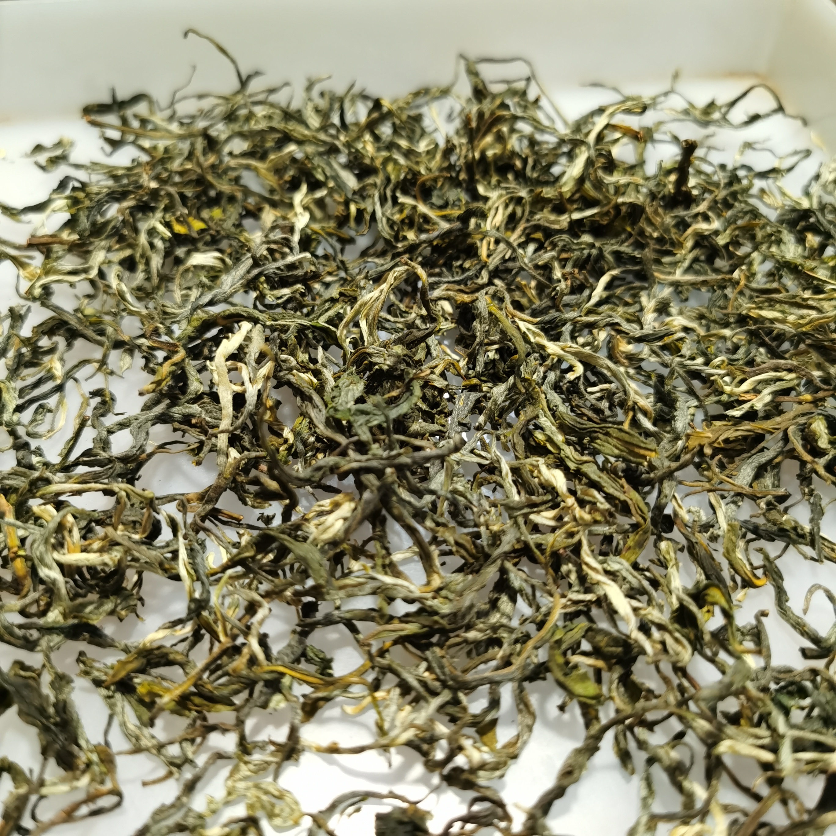 2025年春茶广西凌云散装白毫茶栗香浓毛峰绿茶500克