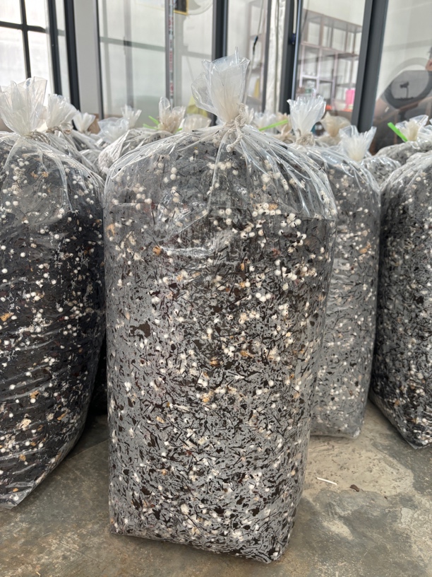 小宋兰花专用植料