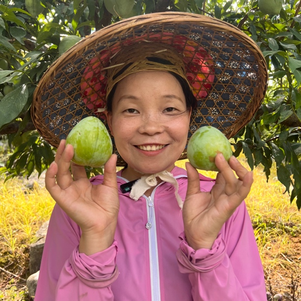 【奈李】湘西樱子进村现采本地高山奈李 现采现发