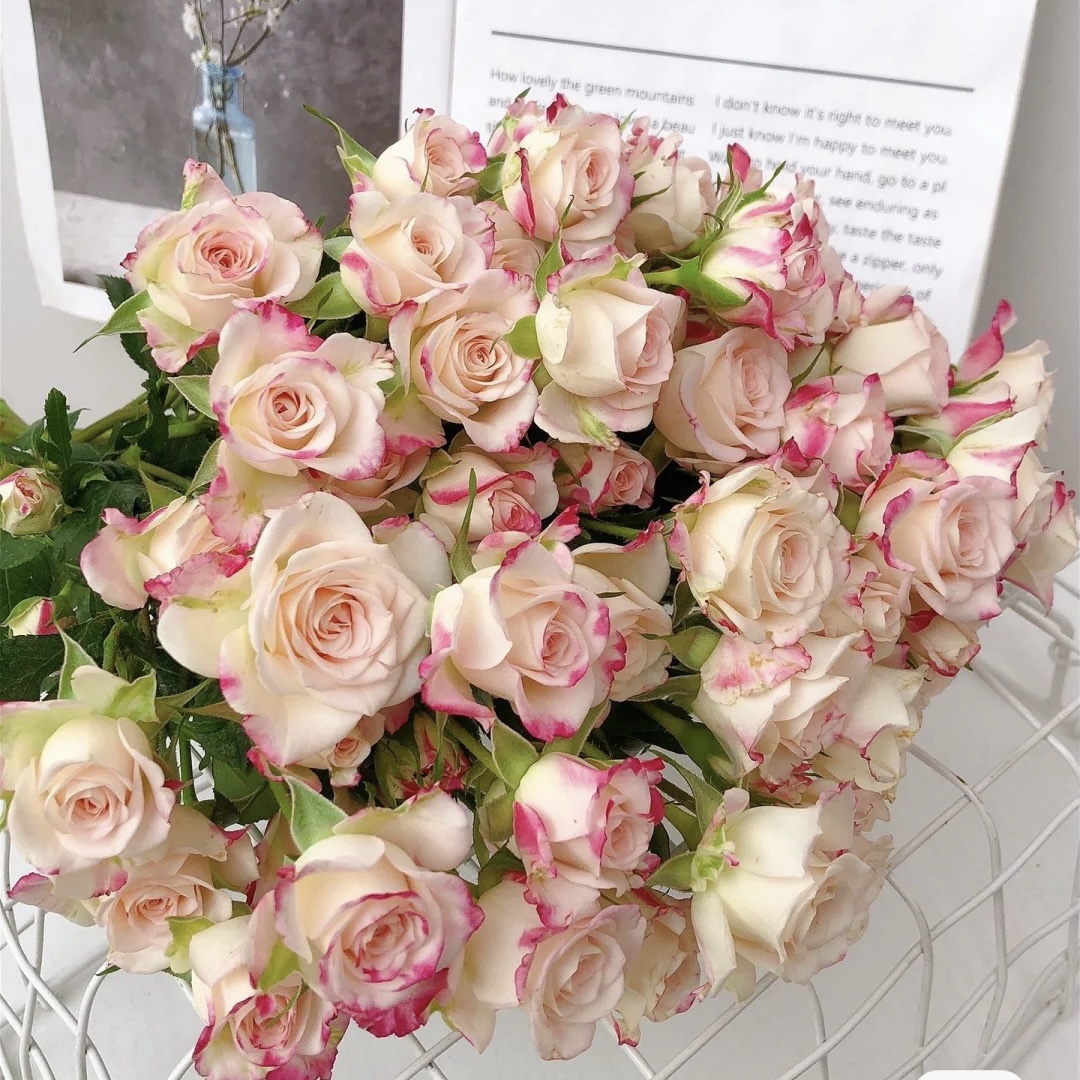 鲜花~多头玫瑰~折射（签收后超24小时，不售后）