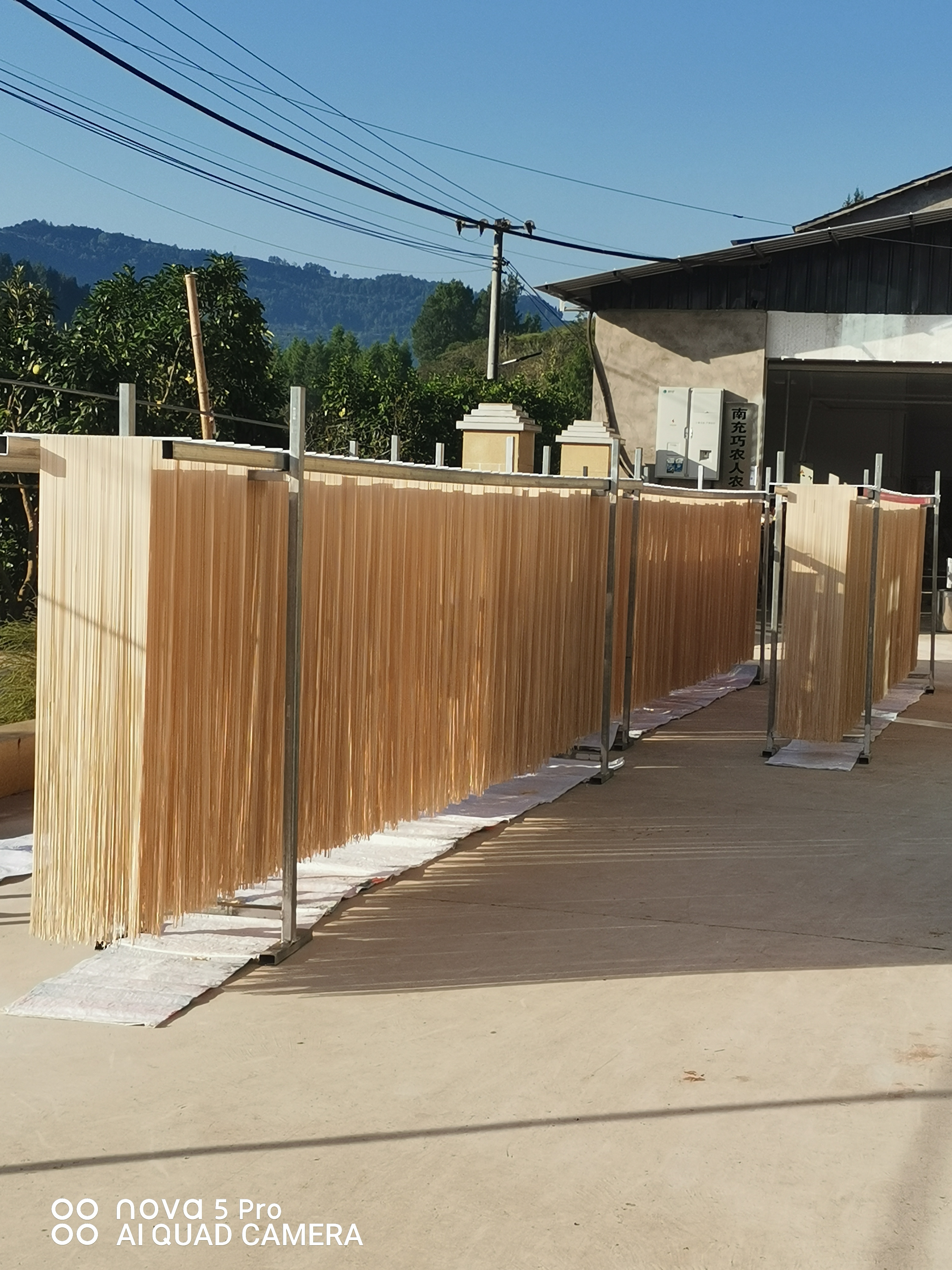 石磨土麦子面条4.8斤（细刀）