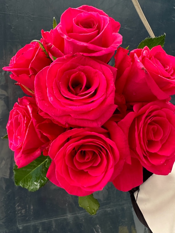 樱桃缤果玫瑰玫红色高杯切花