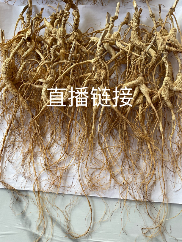 长白山 林下干人参30克「图片仅供参考以实物为准」泡水泡酒食用