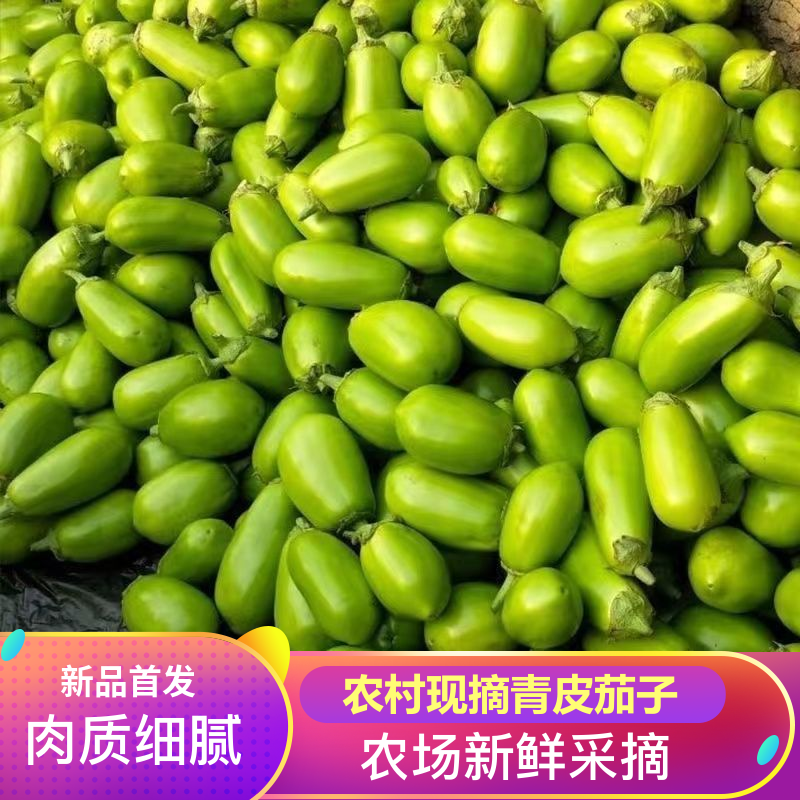 365河南青茄子新鲜农家自种蔬菜绿茄子可生吃茄子