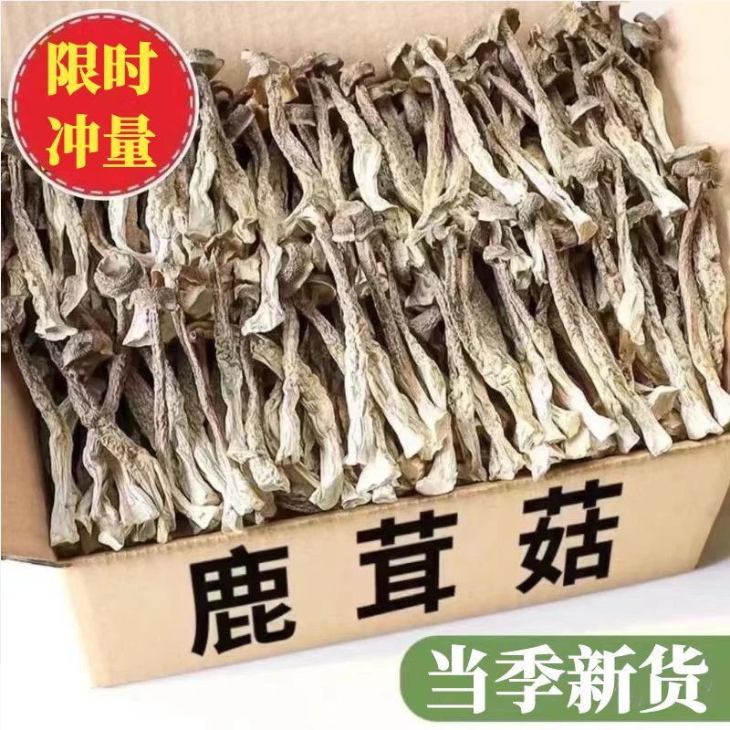 【新鲜无熏硫】鹿茸菇干货新鲜无熏硫干货袋装毛重批发