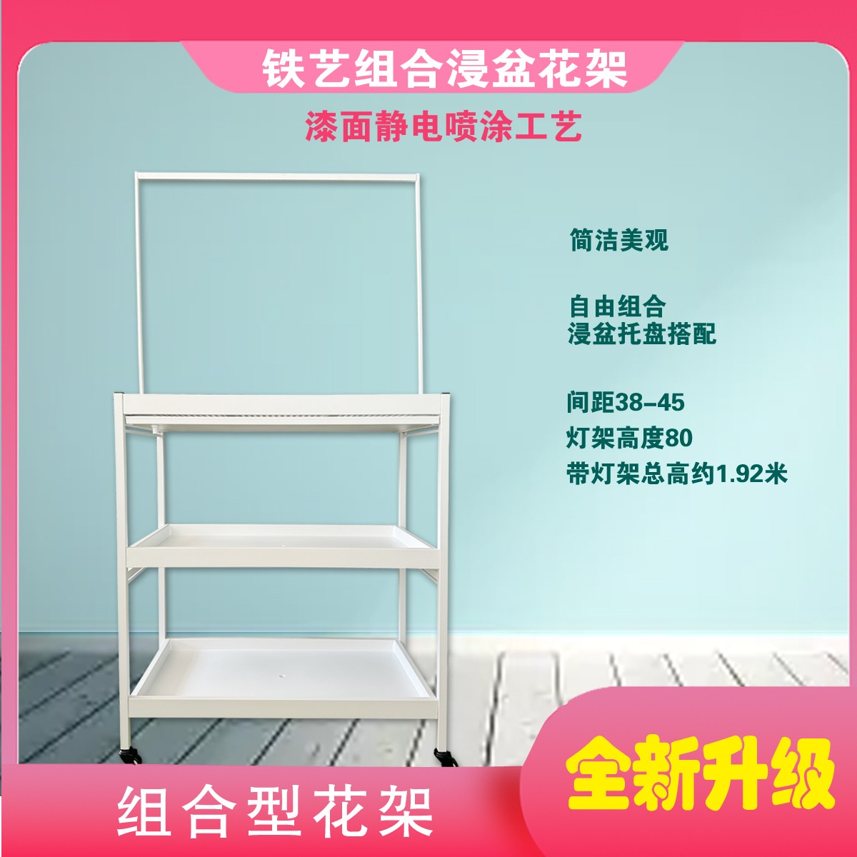 【钱多多】喜绿升级版007层架接水盆浸盆组合浇水多肉花架D