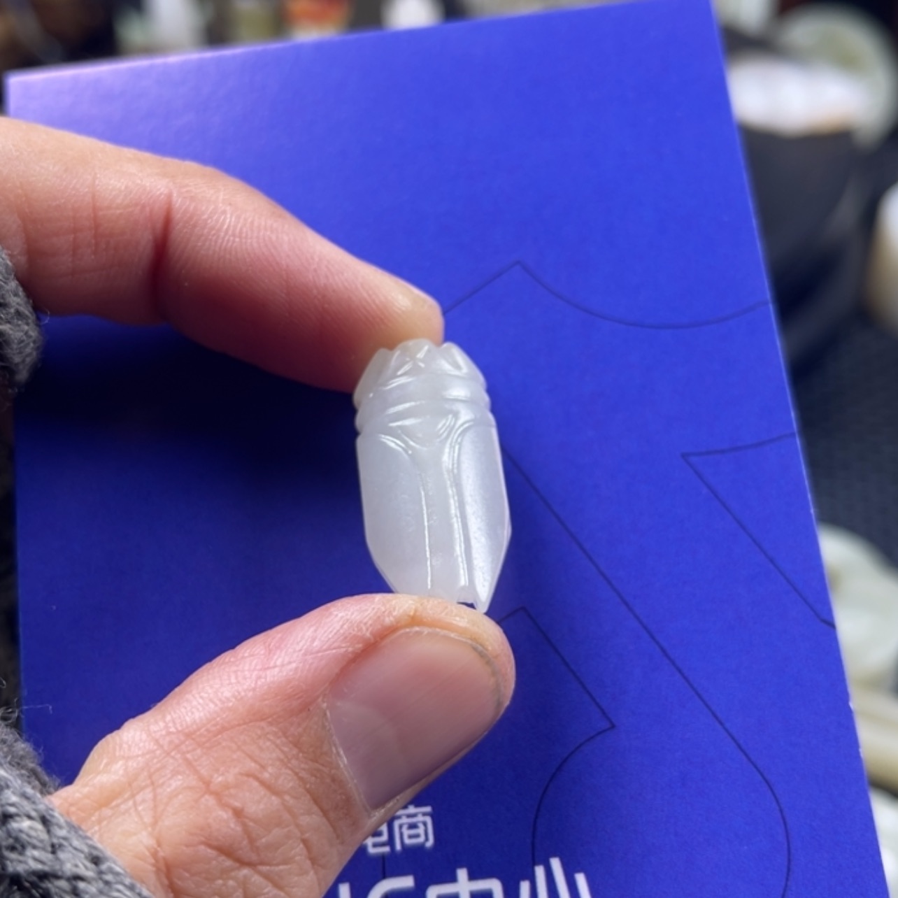 【闪购商品】和田玉颈饰未镶嵌随*✘