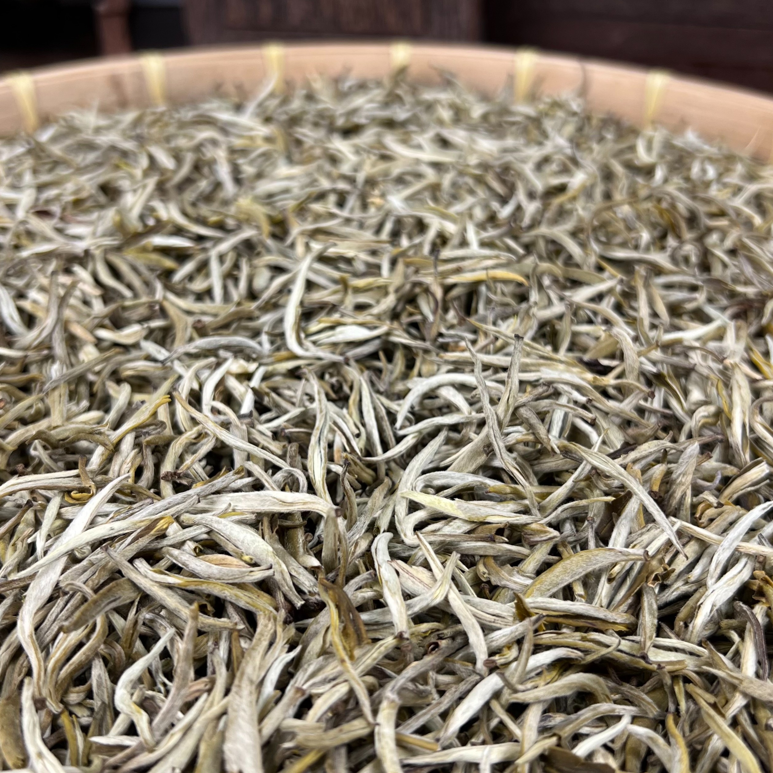 茉莉玉芽（茶王）窨花广西横县茉莉花泡耐浓香