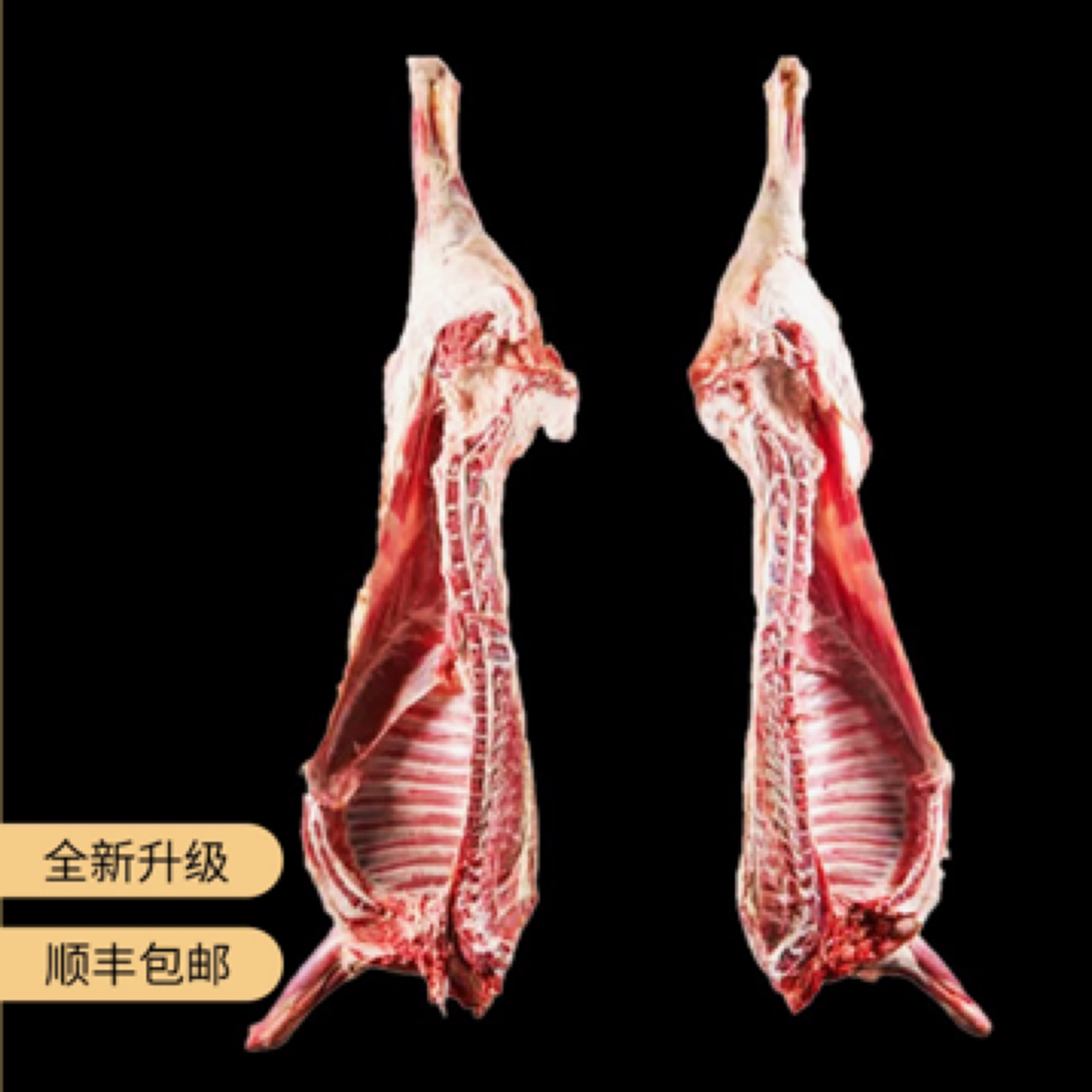 民勤羊羔肉（13斤）精细化分割半羊整扇40%腿排