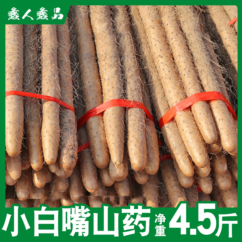 产地直发新鲜现挖现发河北蠡县小白嘴山药4.5斤软糯麻山药