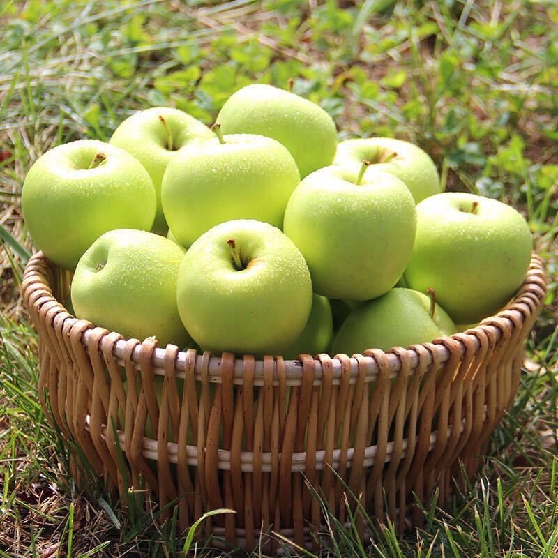 陕西王林青苹果3斤/5斤/9斤现摘新鲜当季整箱酸甜孕妇水果冰糖心
