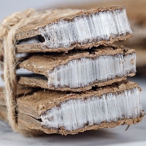 杜仲 优质精选品