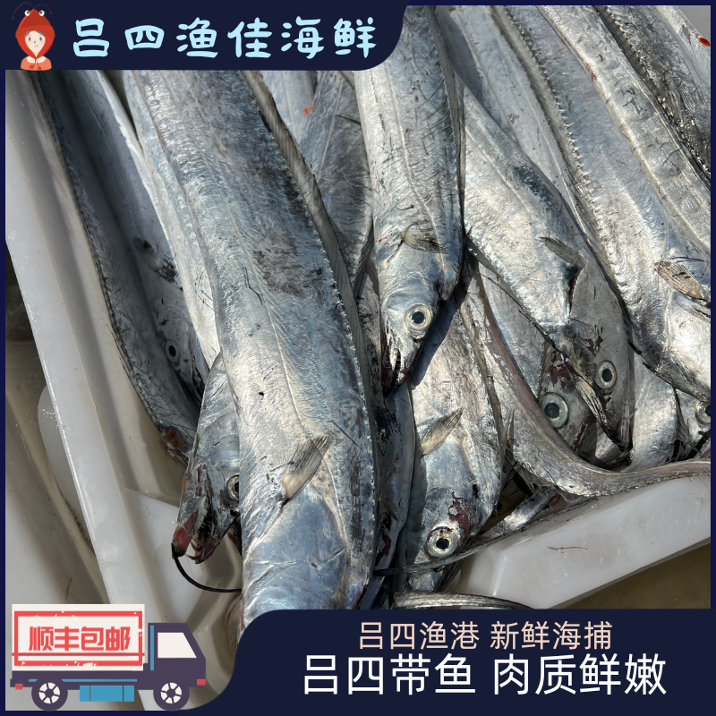 吕四渔港 吕四带鱼 小眼睛油带 带鱼 顺丰包邮