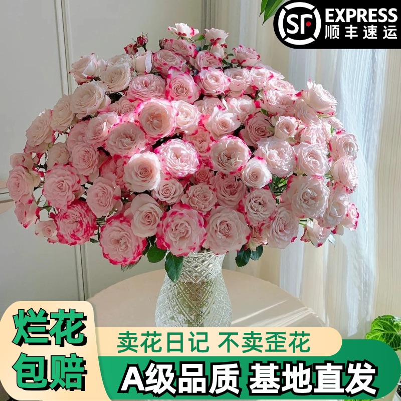 A【折射泡泡】多头玫瑰鲜花朵插花束鲜切花卉云南基地「奶粉】顺丰