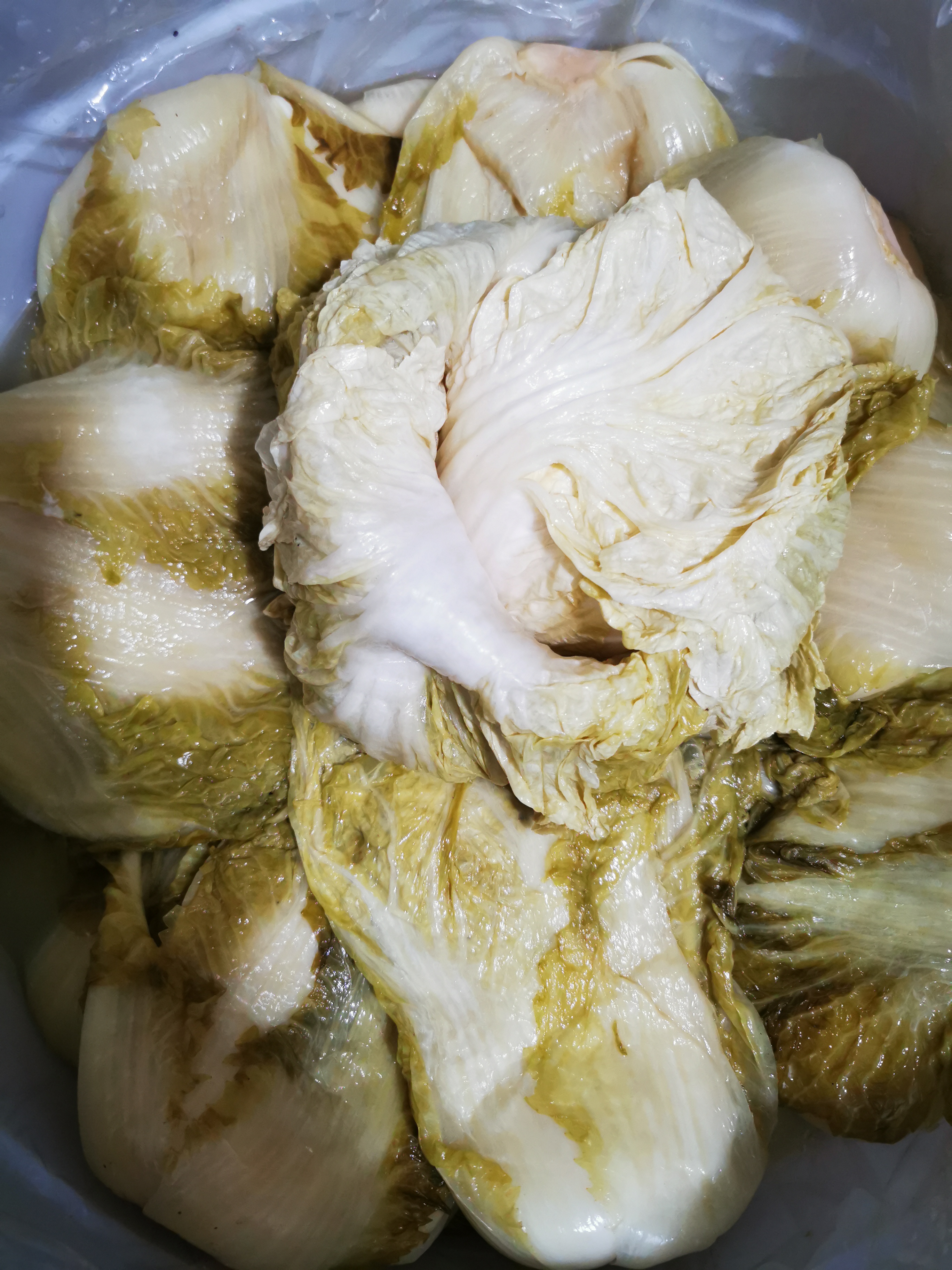 洋洋家自己种的白菜，腌菜5斤包邮