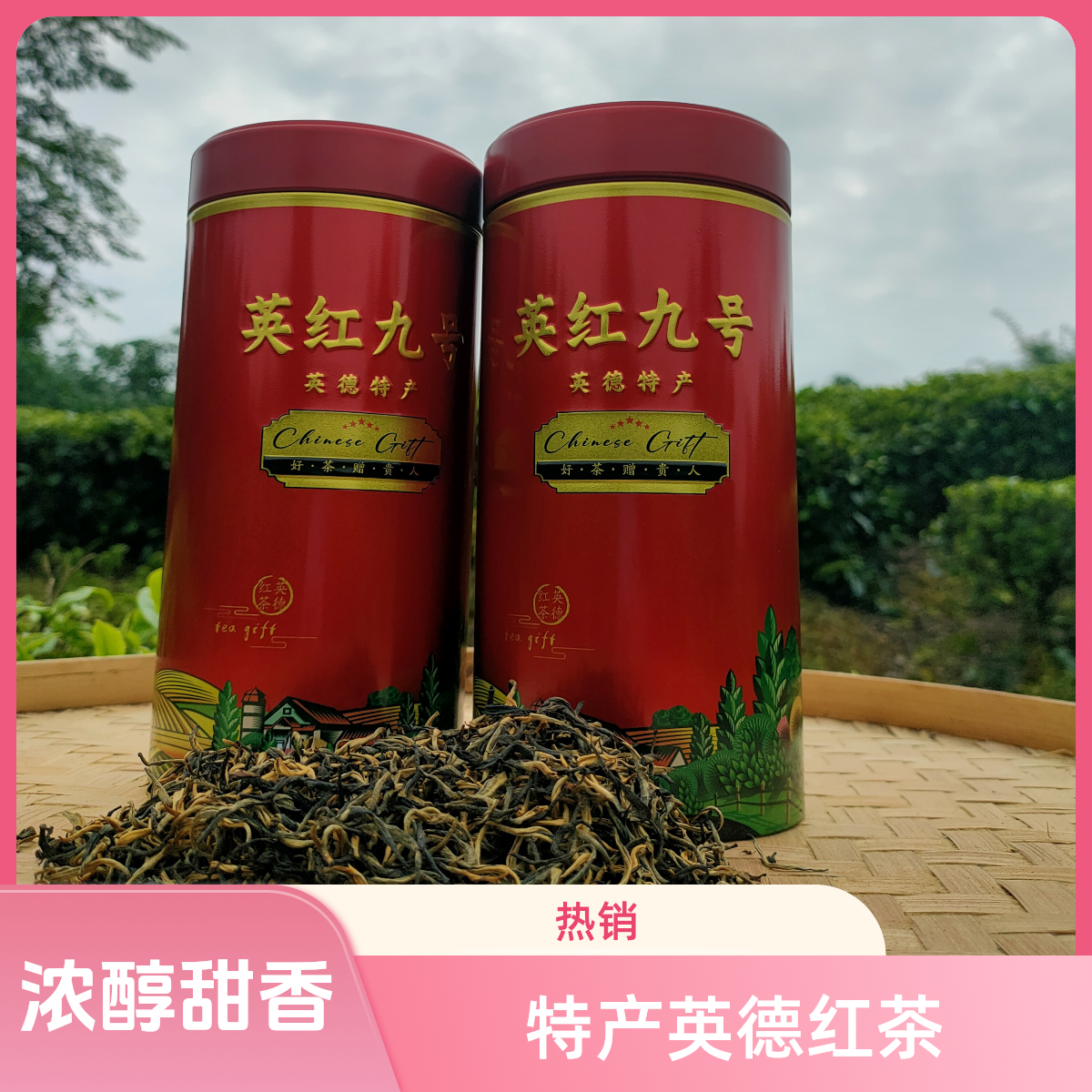 福利款英红九号红茶 浓强鲜爽独特花香甜香蜜韵150克1罐送优惠券