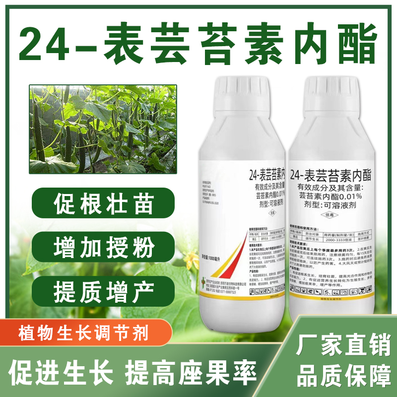 24表芸苔素内酯植物生长调节剂内脂农药大全解药害保花果叶面肥