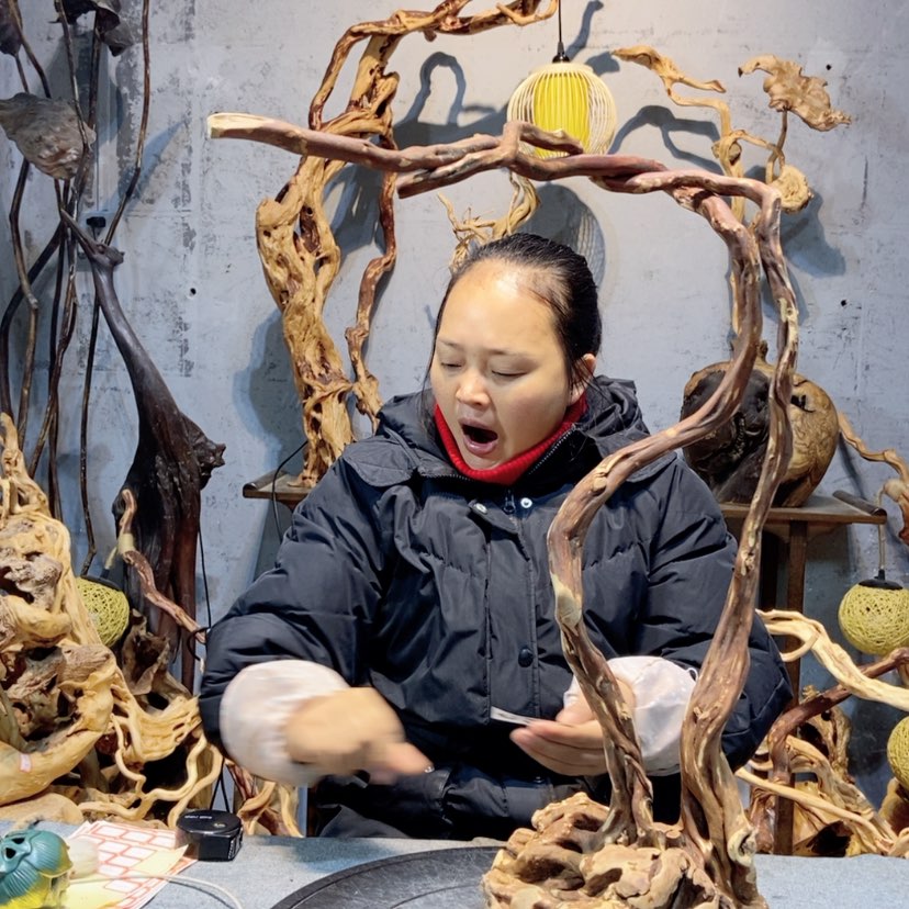 【闪购商品】密胺摆件肉*?