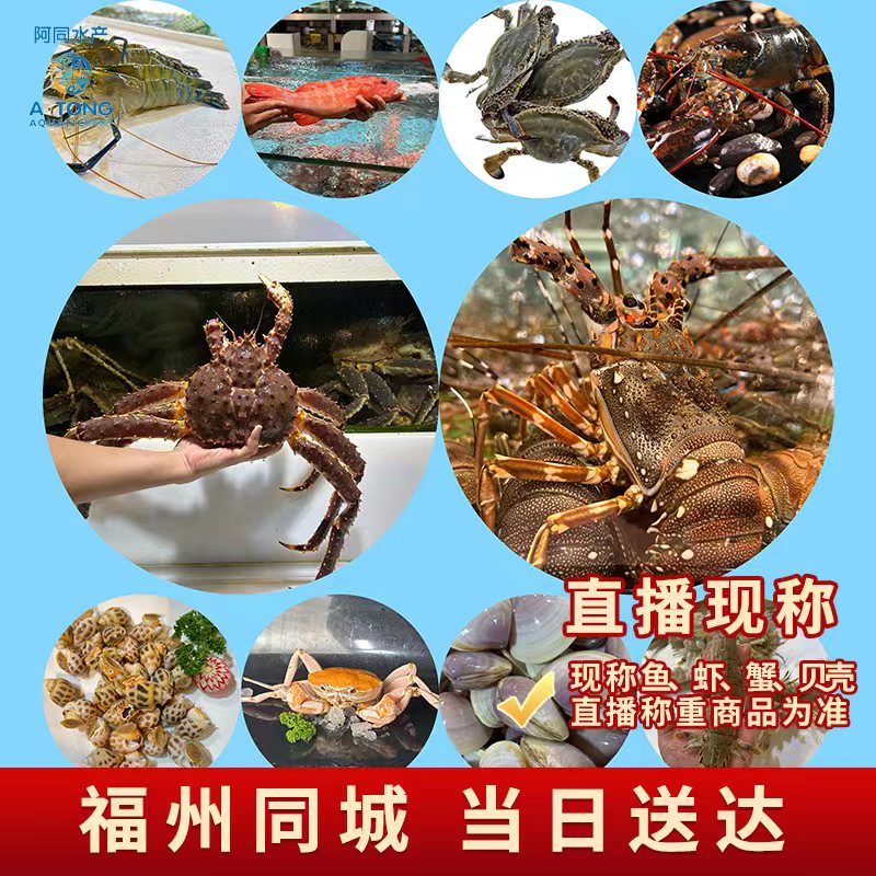 【阿同优选】12号全国可拍 鱼虾蟹组合直播间现称