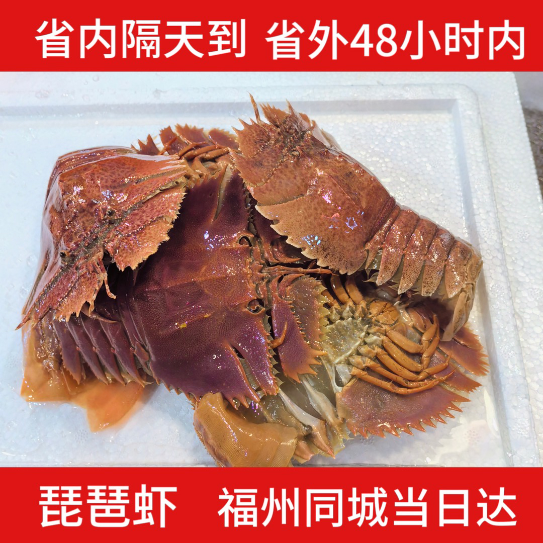 【阿同优选】新鲜琵琶虾虾排肉质鲜美福州发货